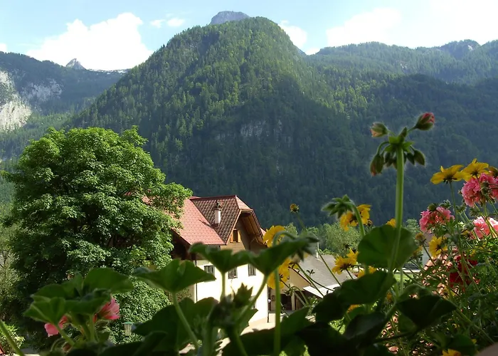 Guest house Haus Alpenrose 5*